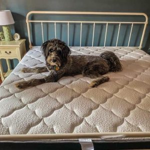 Amore Beds Review