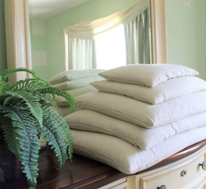 Turmerry Organic Pillows Reviews